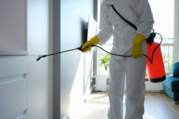 Professional Mold Remediation in Timberlane, LA